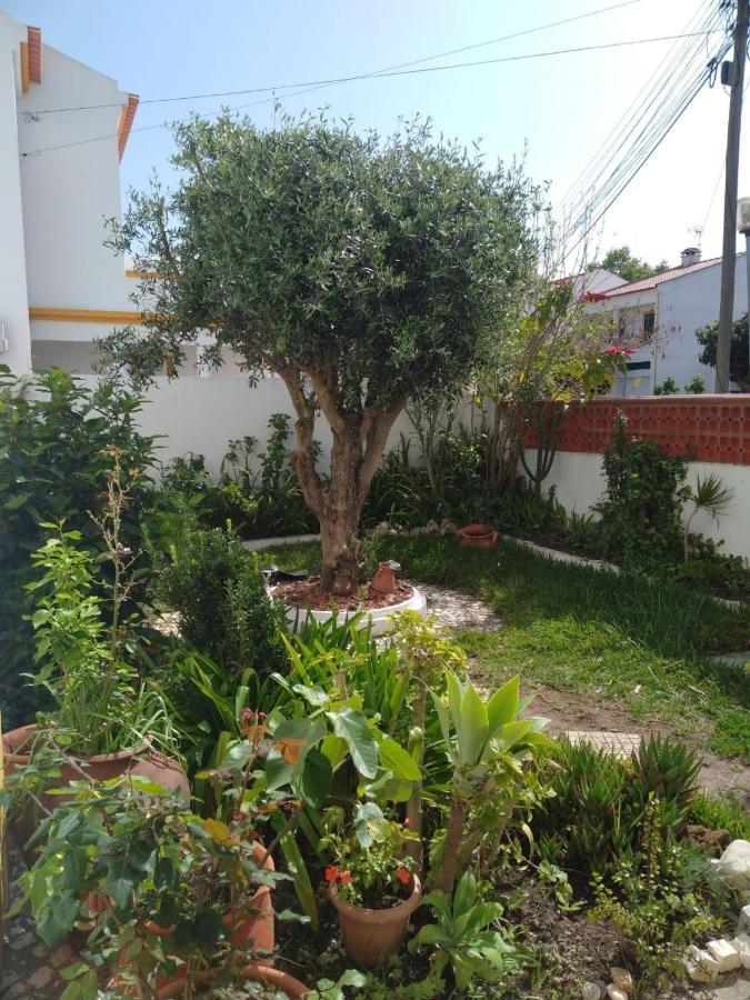 Casa Malaquias Apartment Santo Andre Ngoại thất bức ảnh